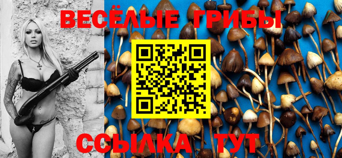 Псилоцибиновые грибы прущие грибы Узловая