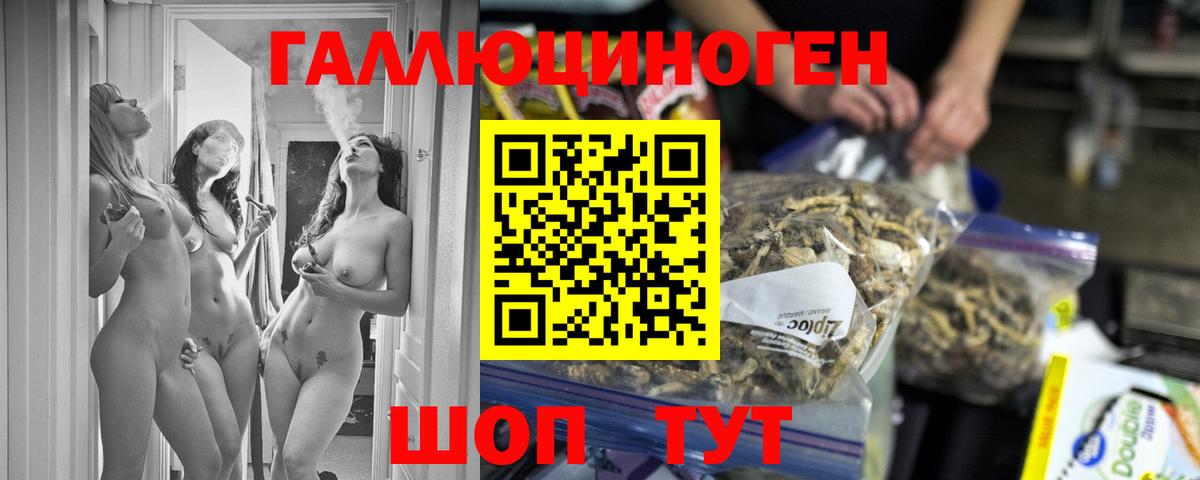 Галлюциногенные грибы Psilocybe  Галлюциногенные грибы ЛСД  Узловая  Вход с VPN 